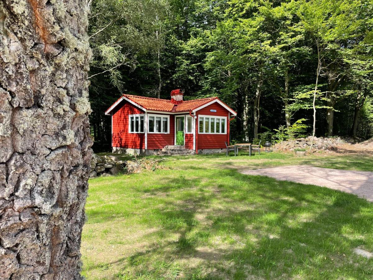 Ormanaesgardens Stugby Villa Höör Екстериор снимка